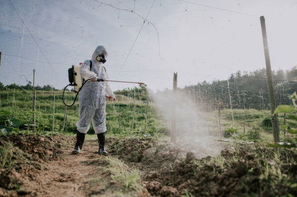 Best Mosquito Control Services  in Enoch, UT