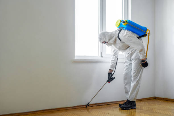 Flea Control Services in Enoch, UT