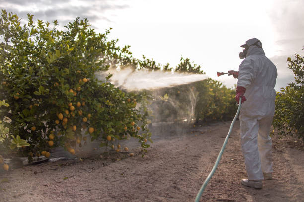  Enoch, UT Pest Control Pros