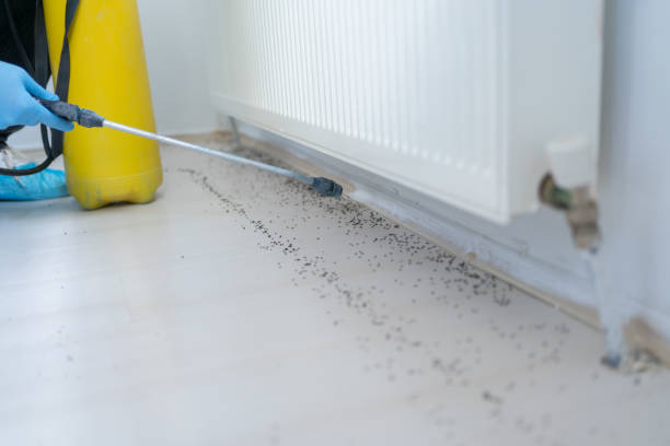 Professional Pest Control in Enoch, UT